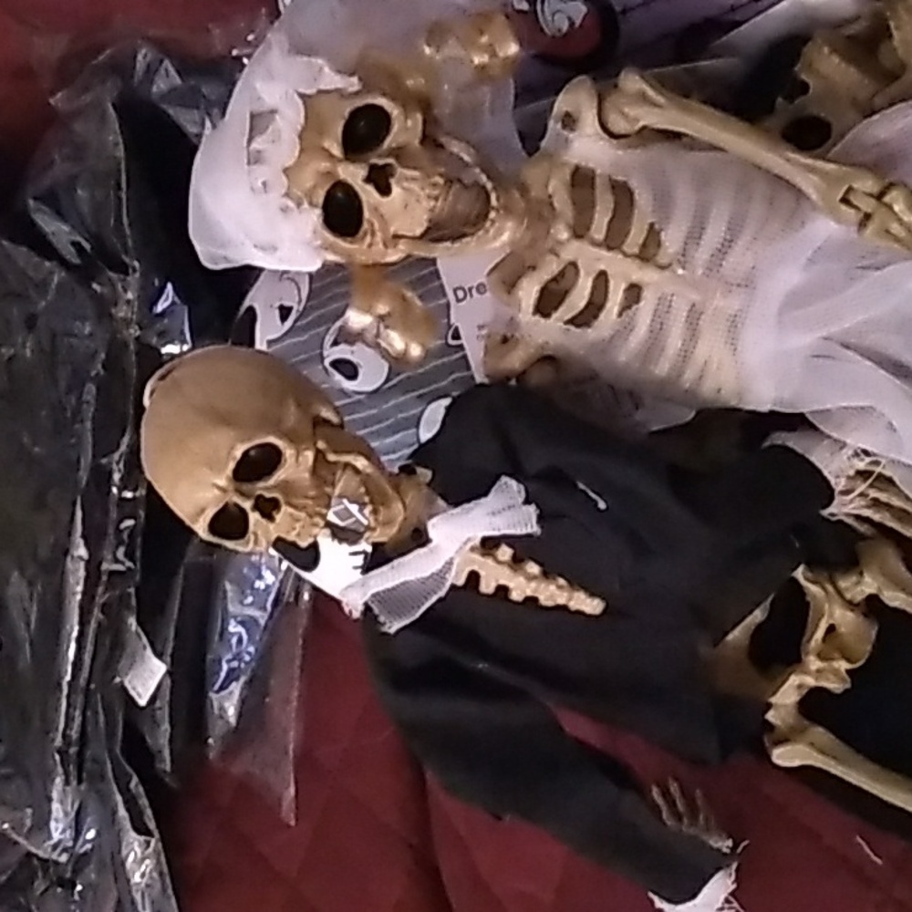 Bride and Groom hanging Skeltons NWT set of 2